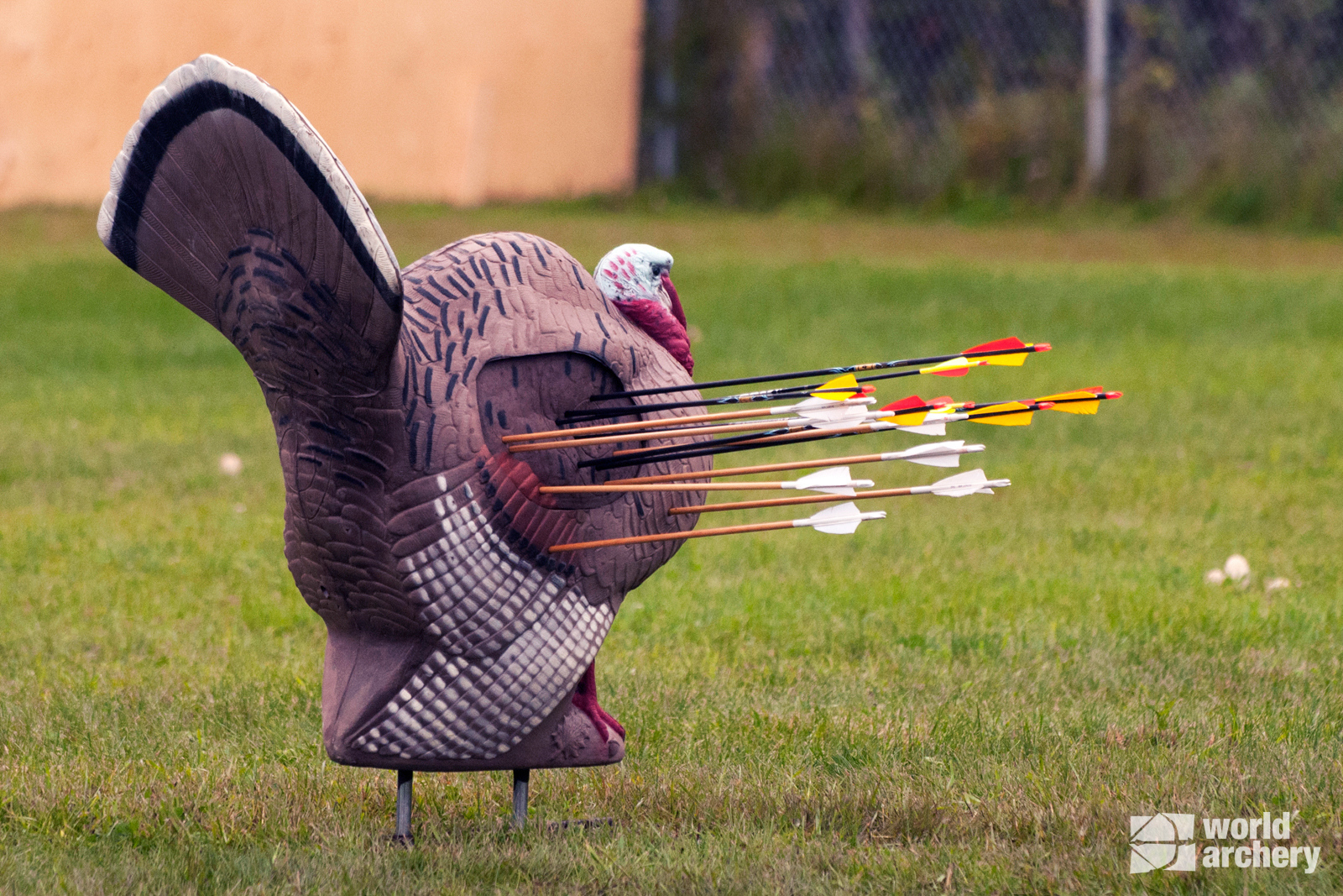 3D target that looks like a turkey